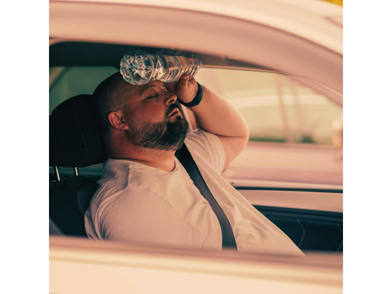 Car Heat Danger: Protect Your Vehicle and Loved Ones in the Summer